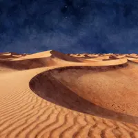 เทคโน ไนท์ เดสเสิร์ท