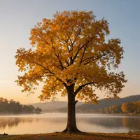 ศิลปะต้นไม้อันสง่างาม