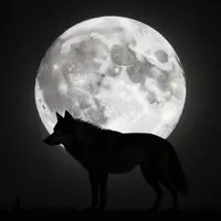 حیوانات و ماه