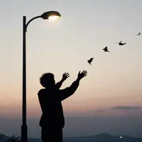 Silhuetas de saudade