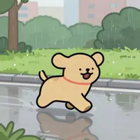 สุนัขกลางสายฝน