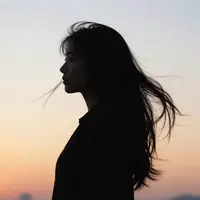 Abstract Silhouettes