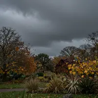 Pemandangan taman suram