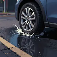 শহরের গাড়ির জলের ছিটা