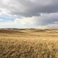 Steppe Landscape