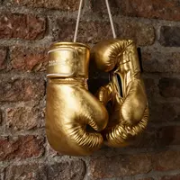 Sarung tangan tinju