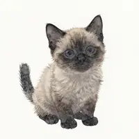 Fotos de animales tiernos