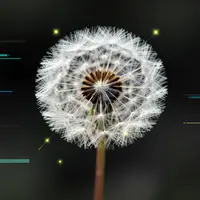 Löwenzahn Glitch-Art