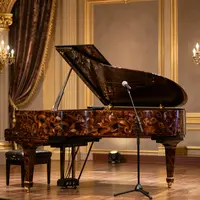 Элегантная музыкальная сцена