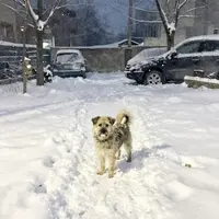 Zimní Městská Scéna