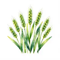 Dekorace z pšeničných klíčků