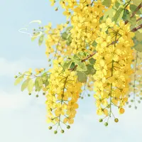 Natura della Thailandia