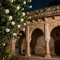 العمارة الهندية