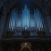 ออร์แกนกอทิก