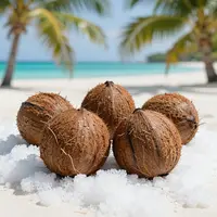 نارگیل در برف