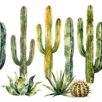 रेगिस्तानी पौधे