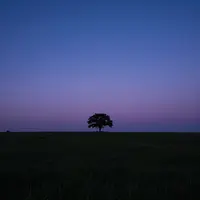 गोधूलि परिदृश्य