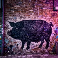Schweine-Graffiti