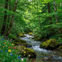 جنگل پرجنب‌وجوش