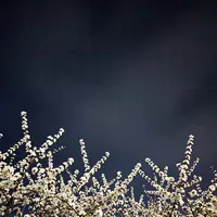 Sfondo cielo drammatico