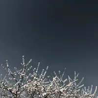 Sfondo cielo scuro