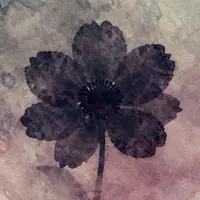 Blumensilhouetten