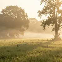 Scena luce mattutina