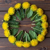 Erbe primaverili