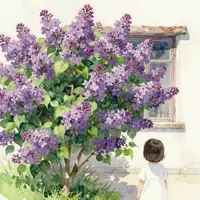 بوته یاس بنفش