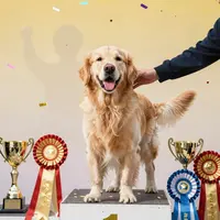 Cani vincitori di mostre