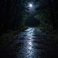 Sentiero nel bosco oscuro