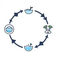 Образовательный контент