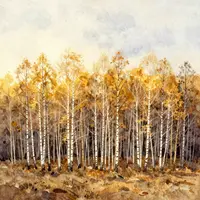 Hutan birch Rusia