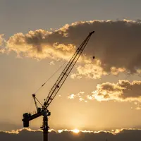 Grues au coucher du soleil