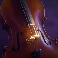 ویولنسل نئونی