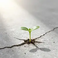 दृढ़ता और संकल्प