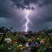 বজ্রঝড়ের বাগান