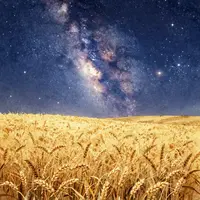 星空のアート
