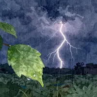 After Thunderstorm
