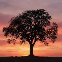 ضد نور آبرنگی