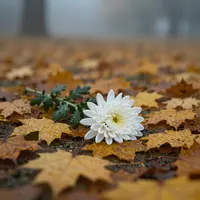 Fiore abbandonato