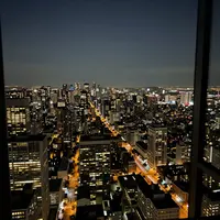 נוף עיר לילי