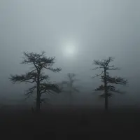 Eerie Atmosphere