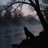 Złowieszcze Zwierzęta