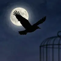 Kebebasan dalam Kesunyian