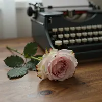 طبیعت بی جان رز چای