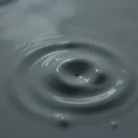 ماکرو ویدئو سیالات