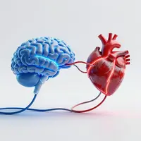 Logik vs Emotion