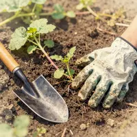 Pemandangan berkebun