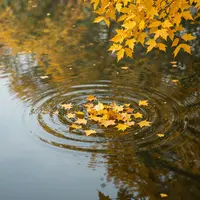 طبیعت شاعرانه